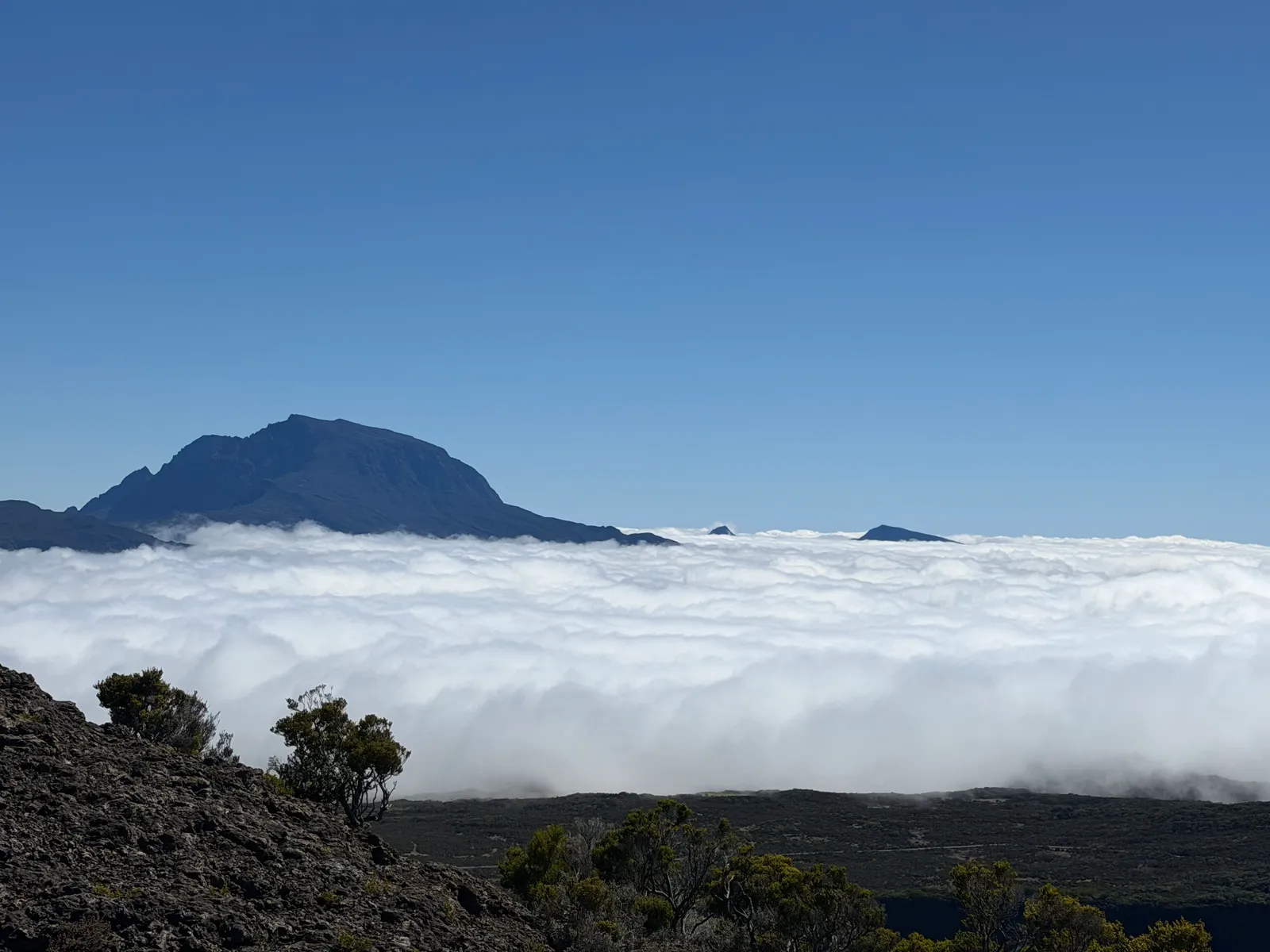 Photo de Les perles de l’océan indien