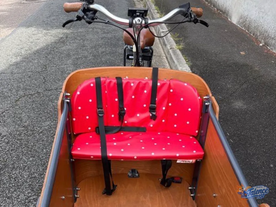 Photo de l'annonce Vélo cargo Babboe Curve électrique