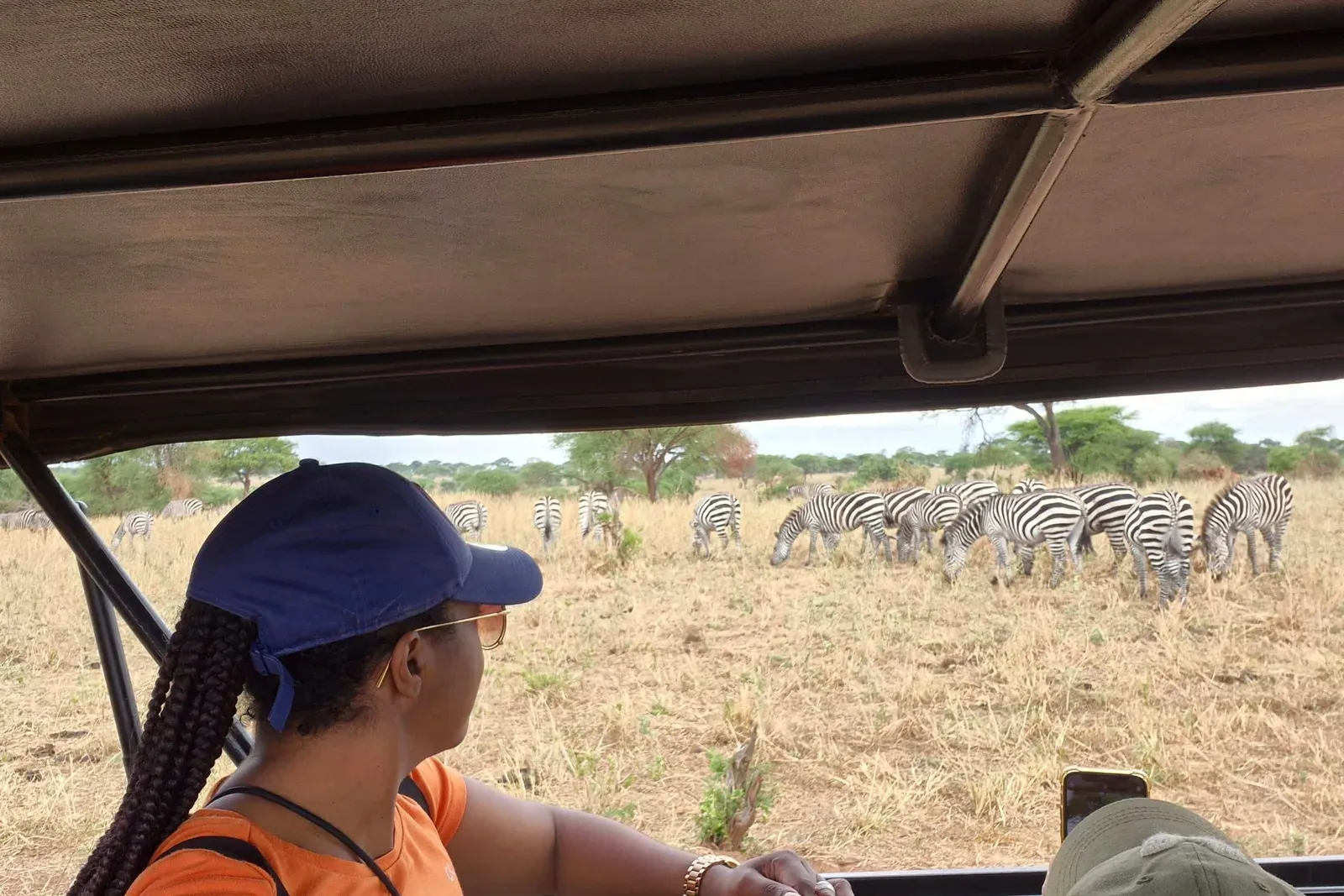 Vue depuis l'intérieur d'un véhicule de safari : une voyageuse observe un troupeau de zèbres qui broute dans la savane, en Tanzanie.